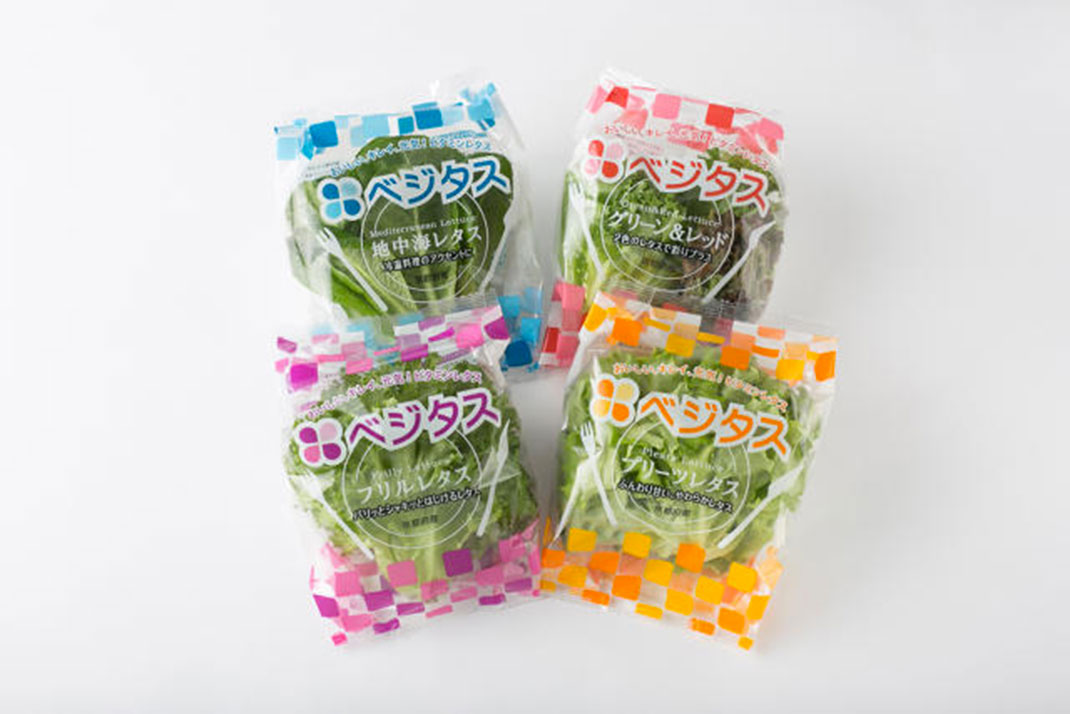 japon-salade