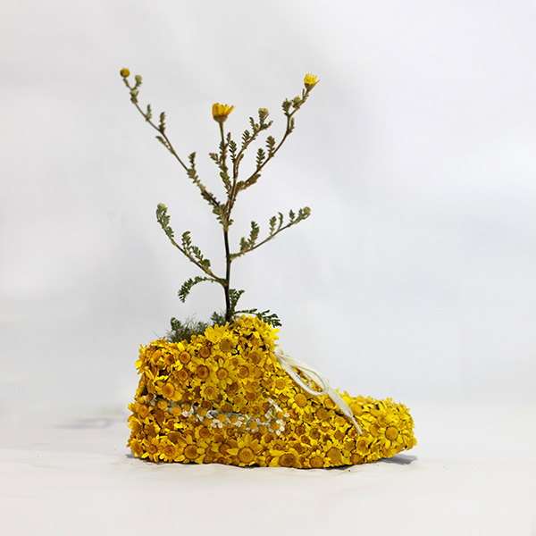 monsieur-plante-art-31
