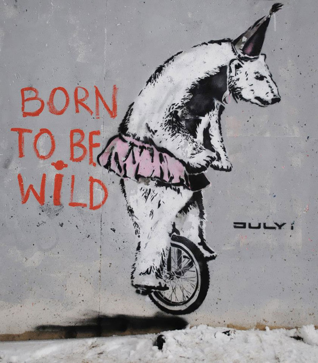 street-art-18