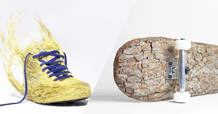 une-chaussure-skate