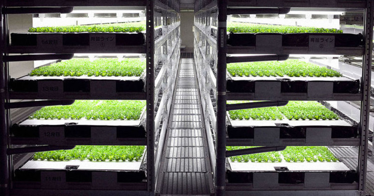 une-ferme-robot