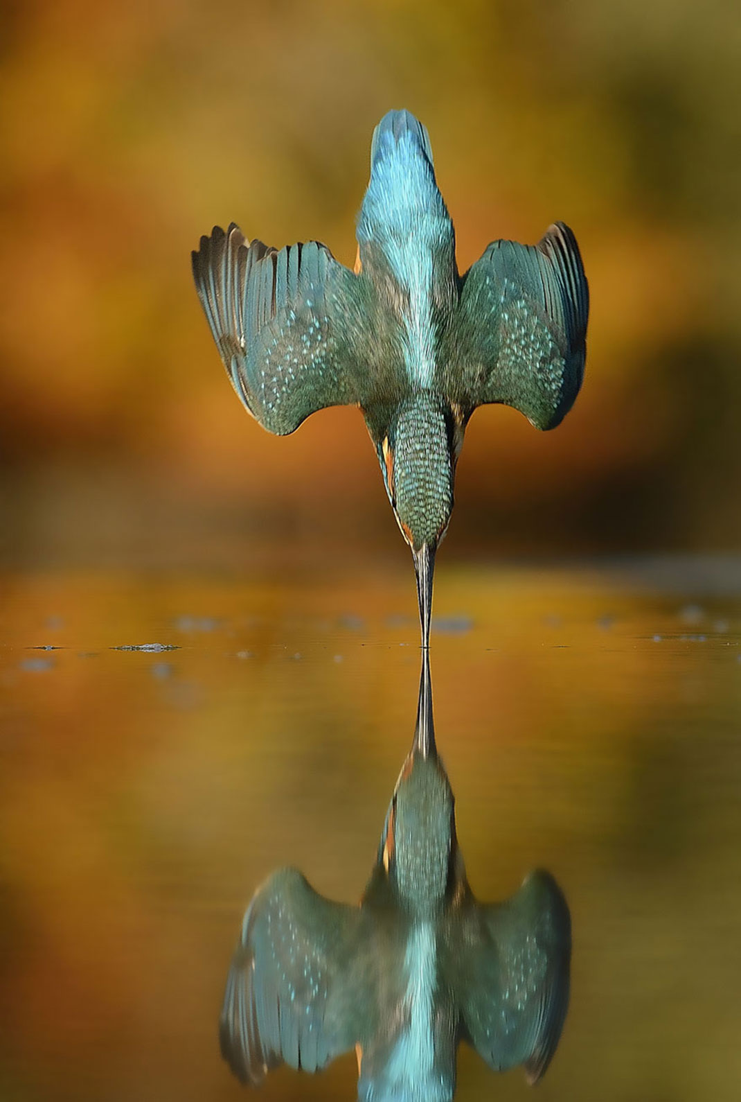 01-martinpecheur-AlanMcFadyen