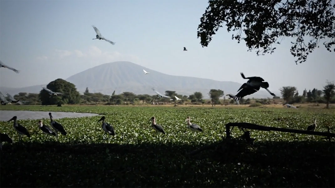 4-ethiopie-video