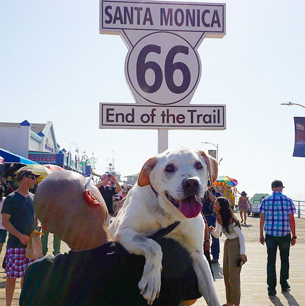59-voyagechien-pohthedogsbigadventure