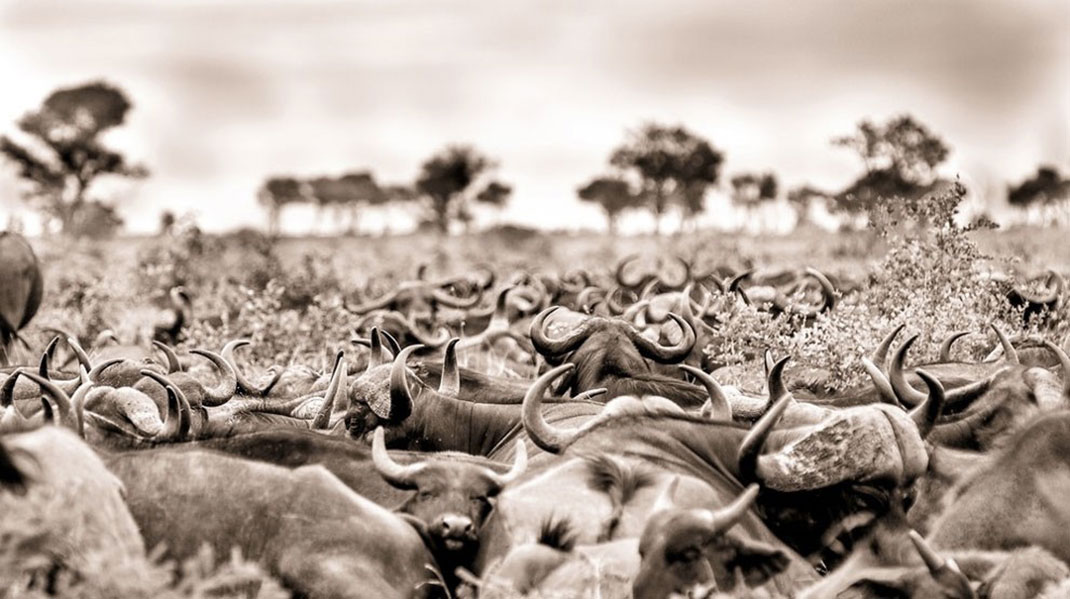 Africa-photographer-10