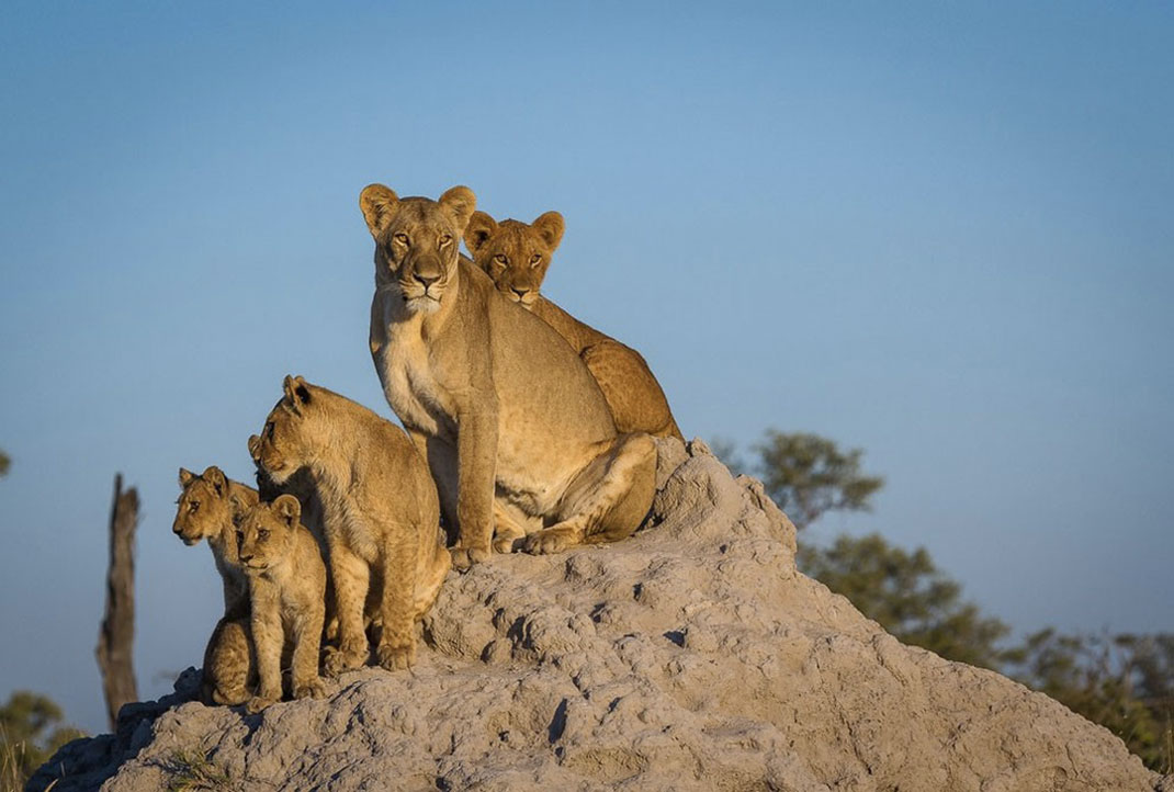 Africa-photographer-12