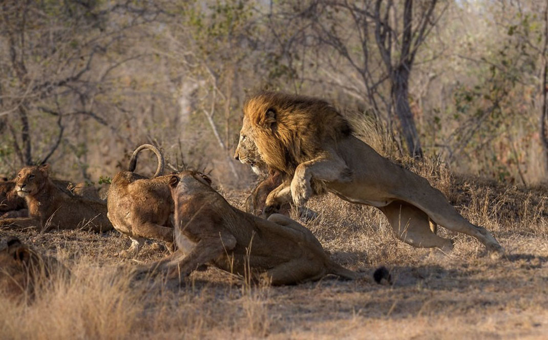Africa-photographer-13