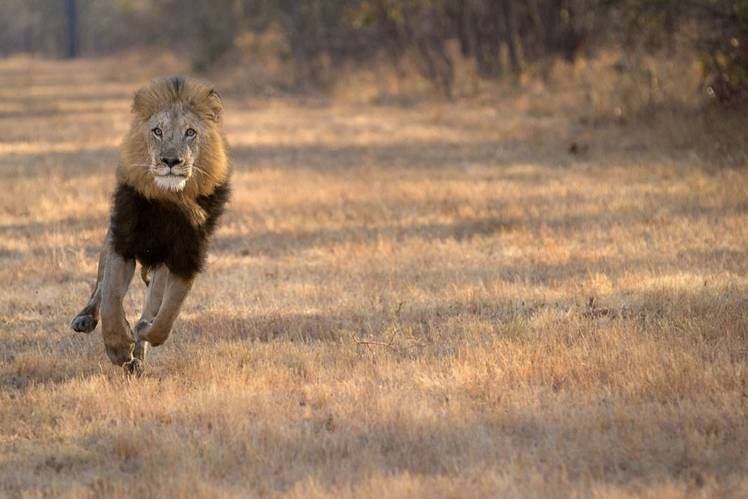 Africa-photographer-14
