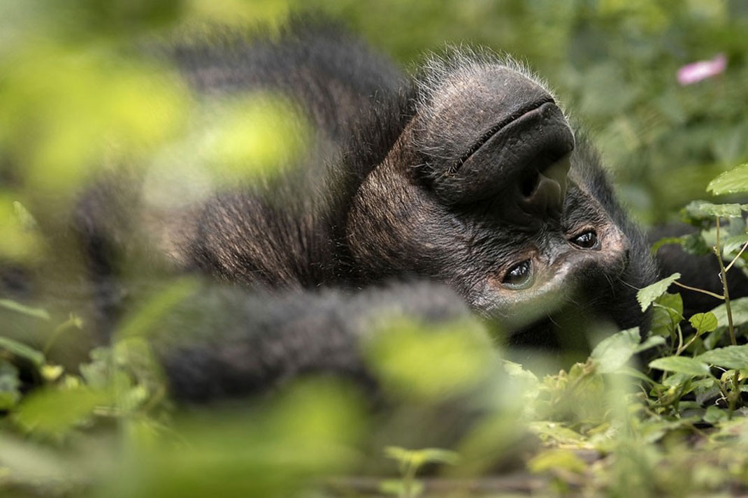 Africa-photographer-16