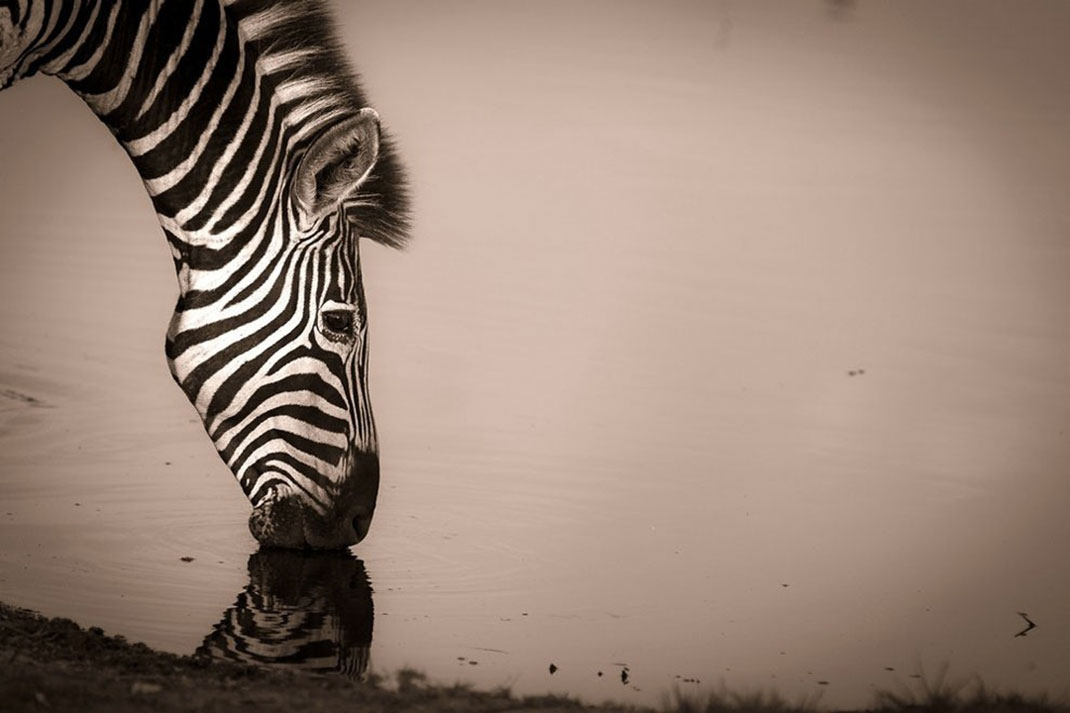 Africa-photographer-2