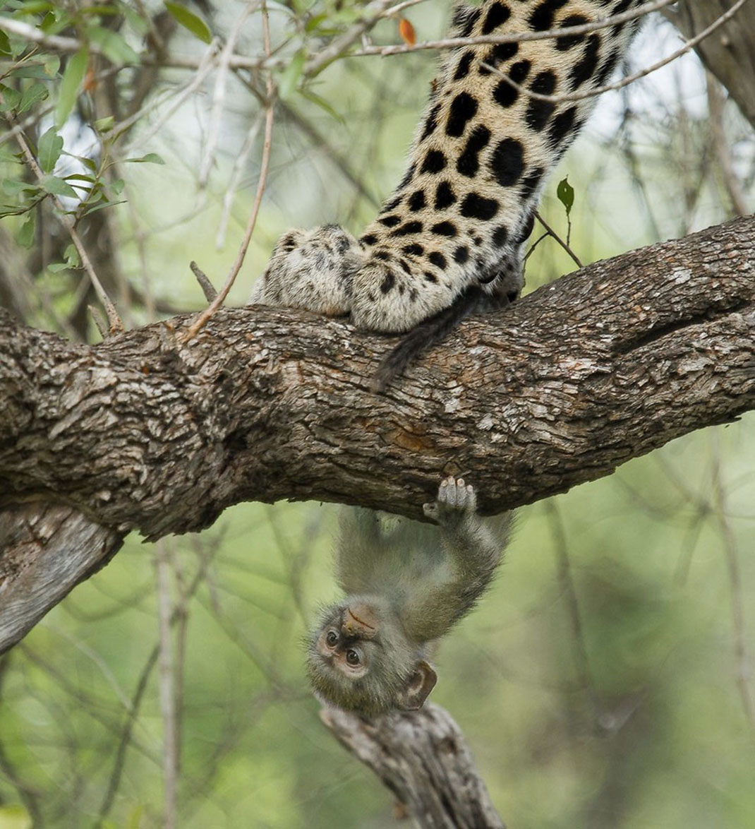 Africa-photographer-3