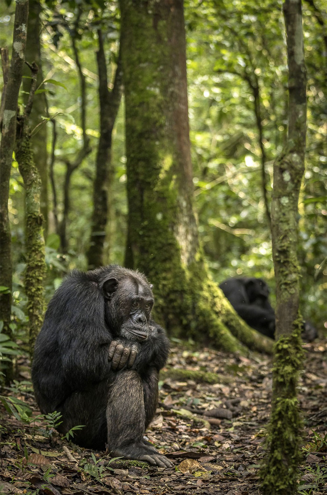 Africa-photographer-4