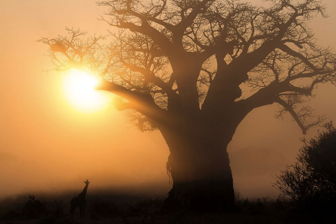 Africa-photographer-7