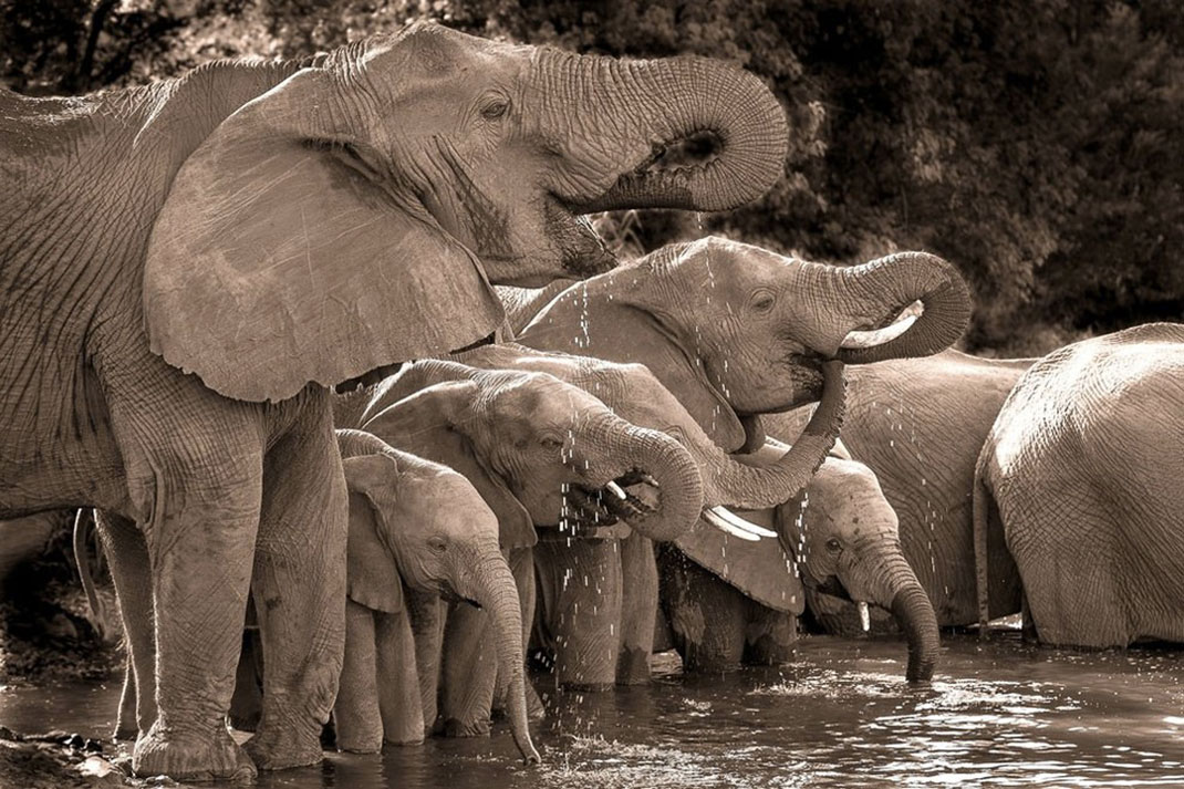 Africa-photographer-8
