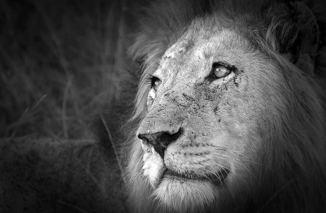 Africa-photographer-9