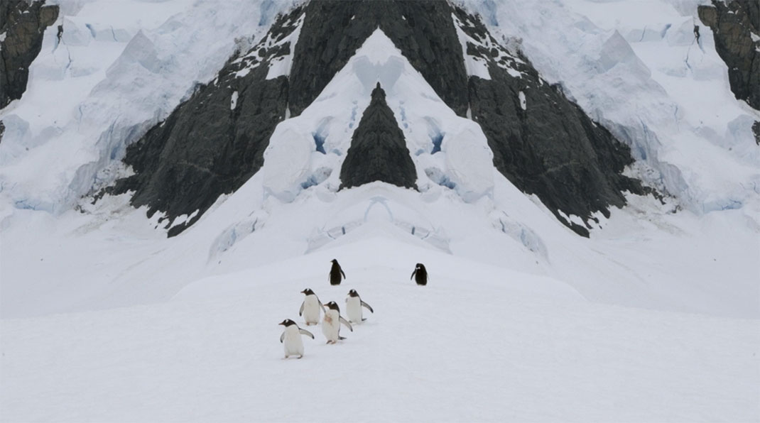 Antarctique-22