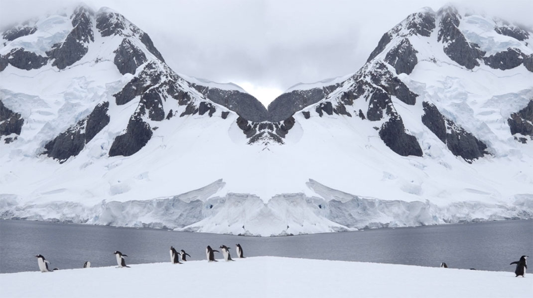 Antarctique-5