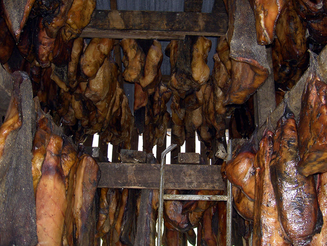 Hakarl-1