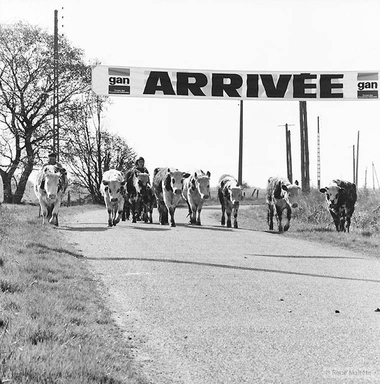 Rene-Maltete-photographie-3