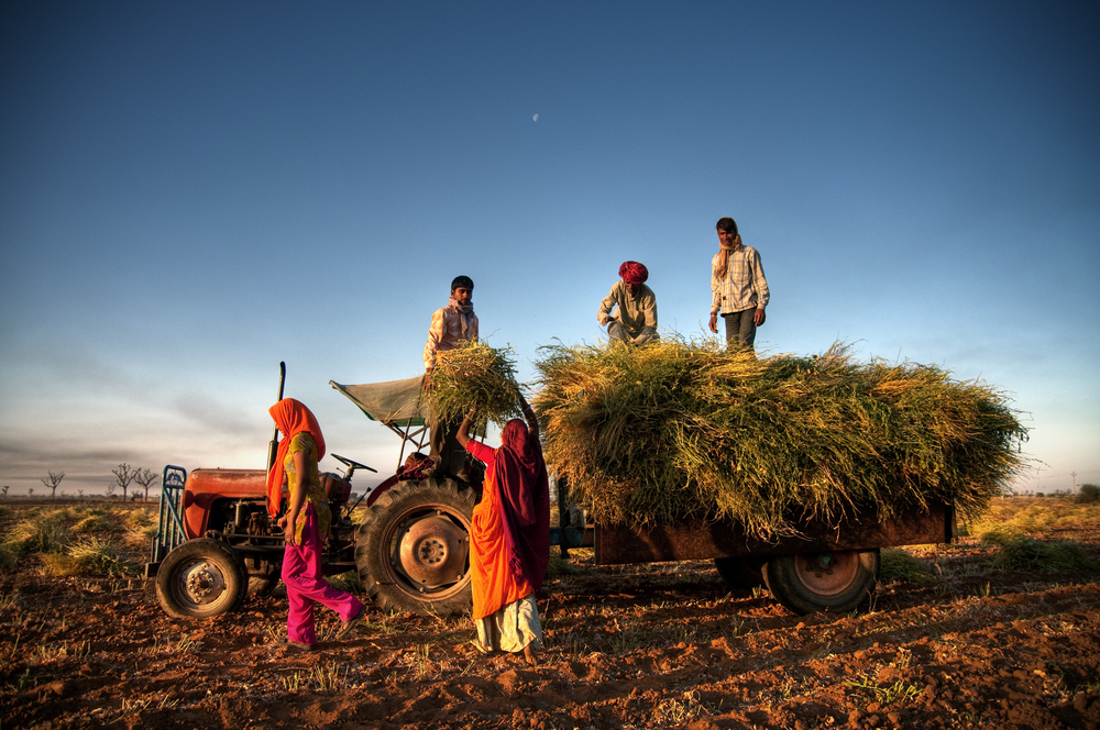 agriculture-inde