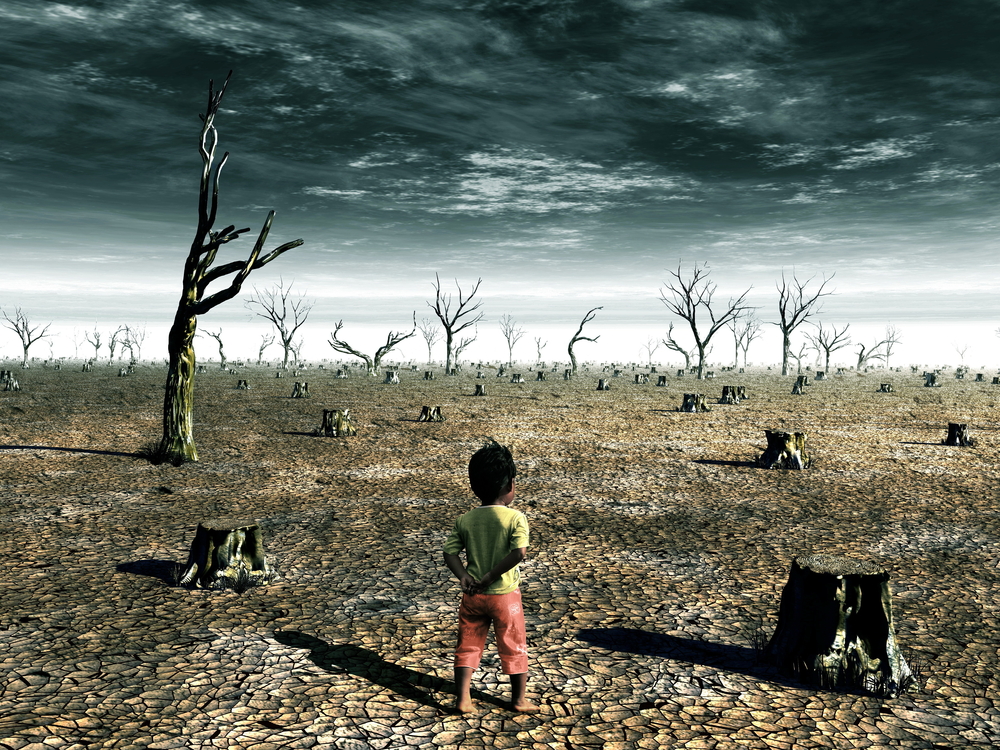 enfant-seul-deforestation