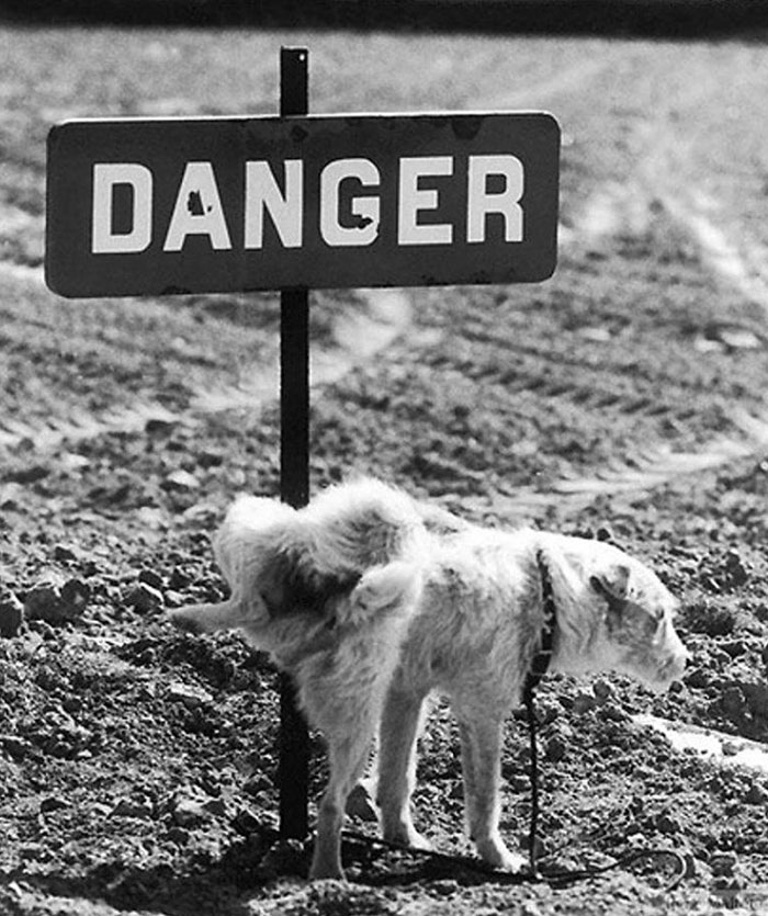 fun-black-and-white-street-photography-rene-maltete-10