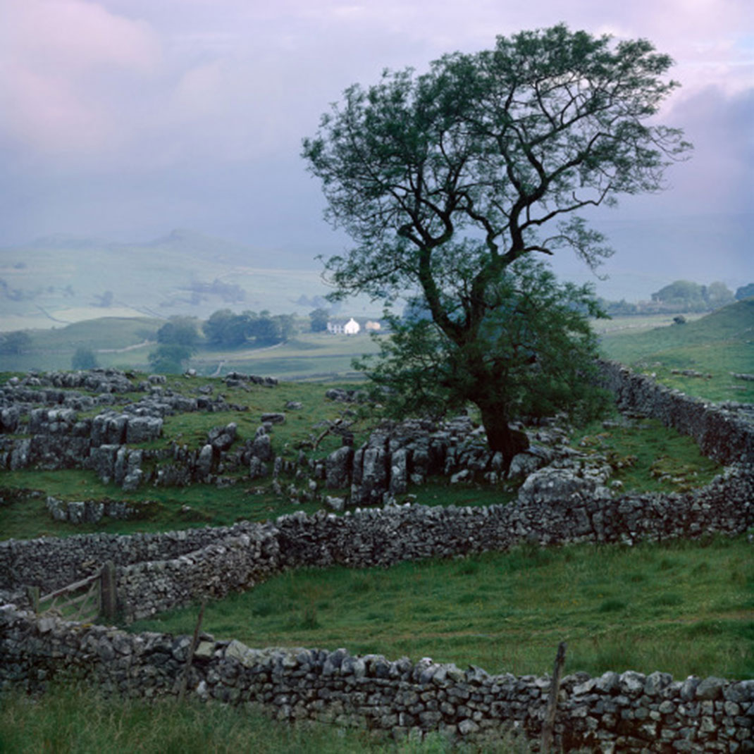 photo-voyage20-winskill-angleterre