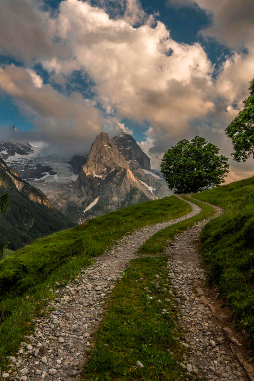 photo-voyage30-alpes-suisse