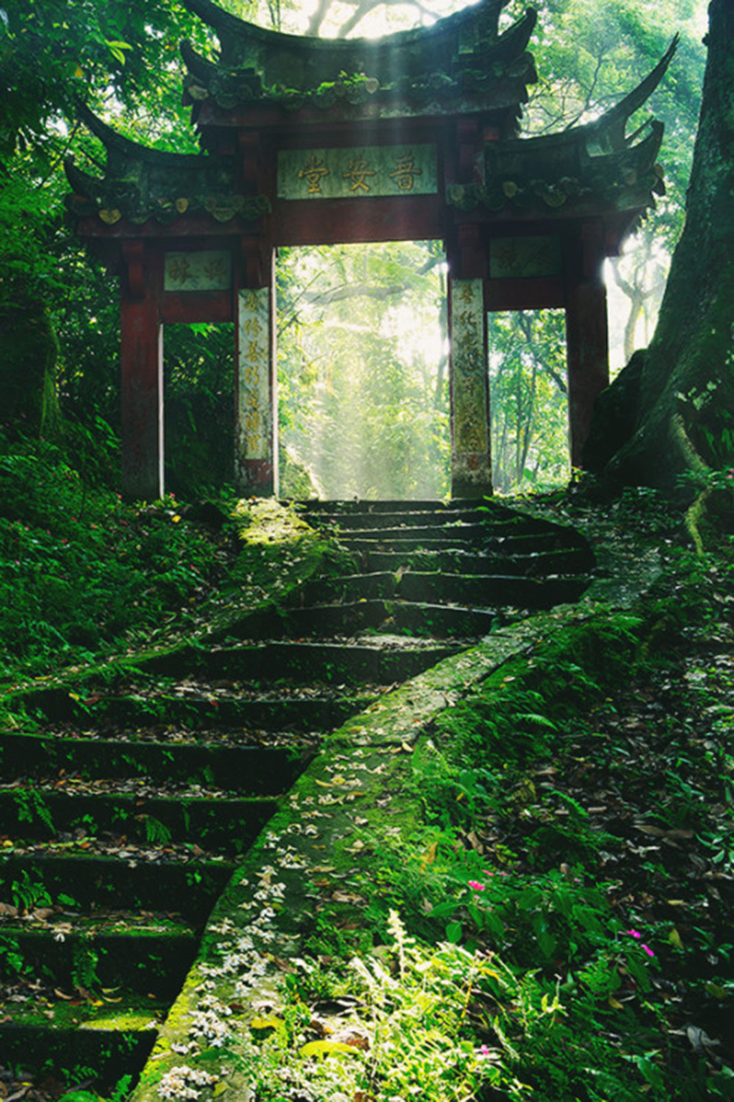 photo-voyage5-japon
