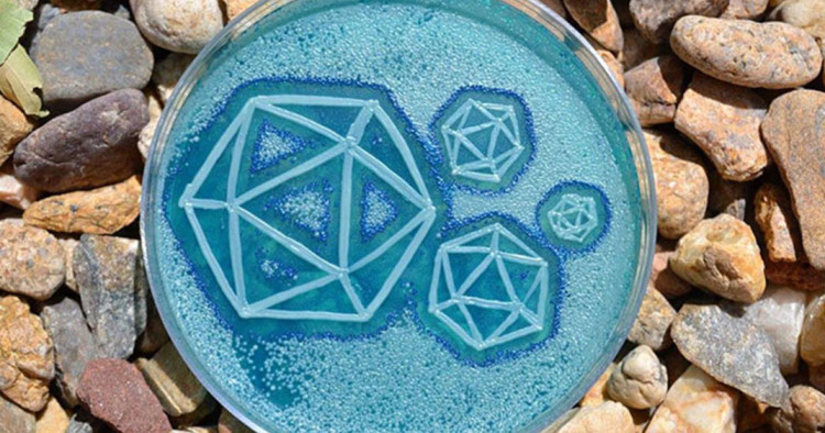 une-microbes1