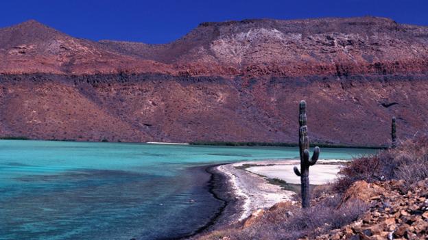 11-paysage-mexique