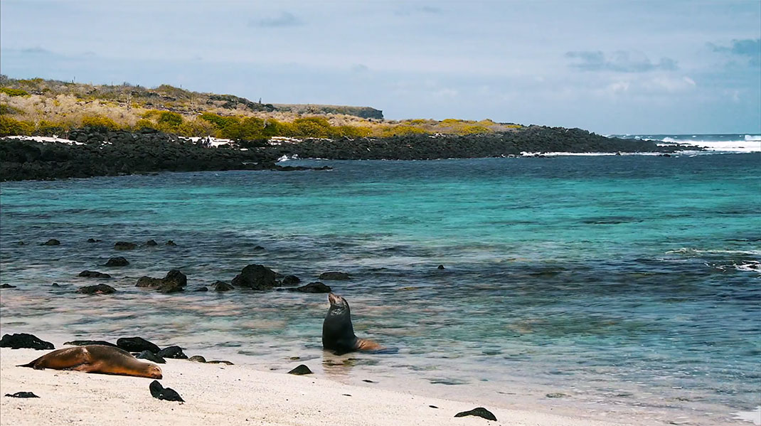 12-galapagos-TomPinsard