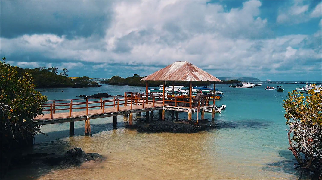 14-galapagos-TomPinsard