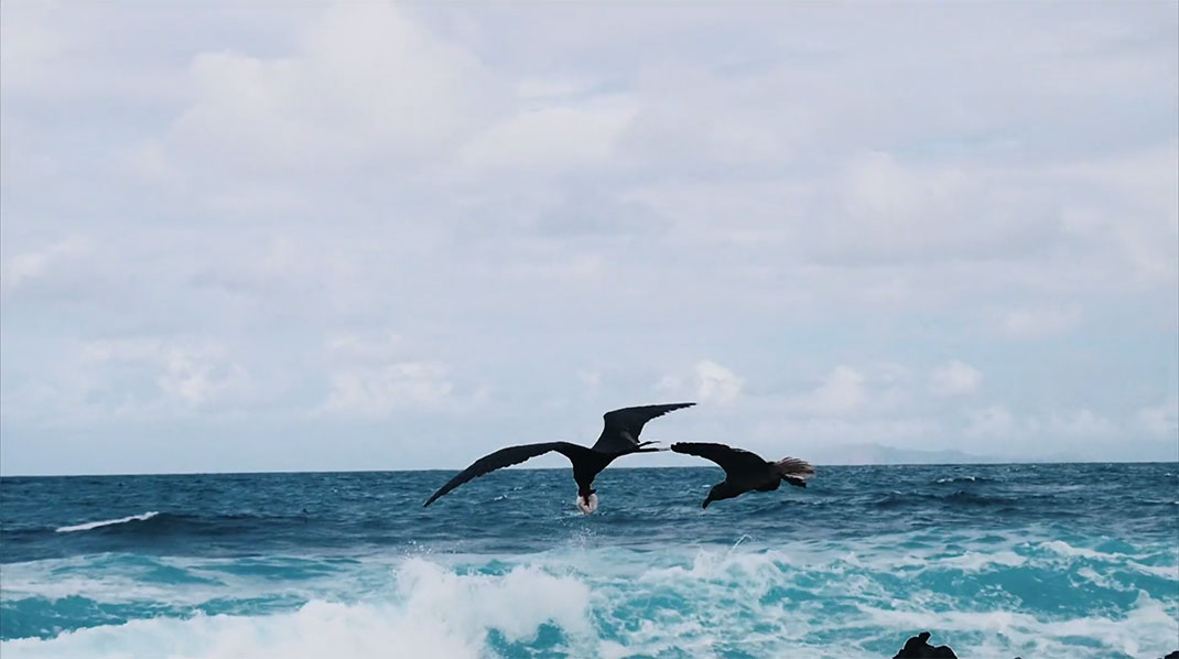 15-galapagos-TomPinsard