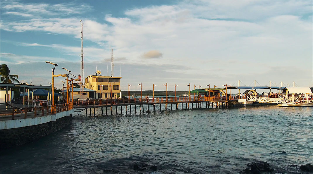 23-galapagos-TomPinsard