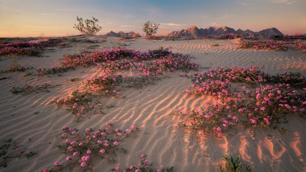 5-paysage-mexique