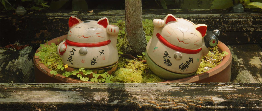 Japon-23