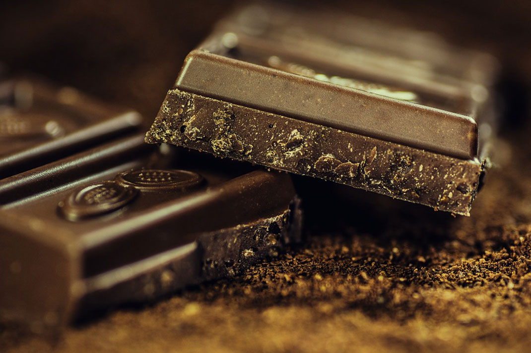 chocolate-chien