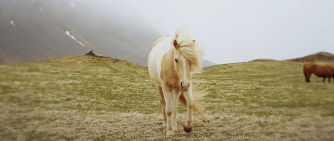 islande-norvege2