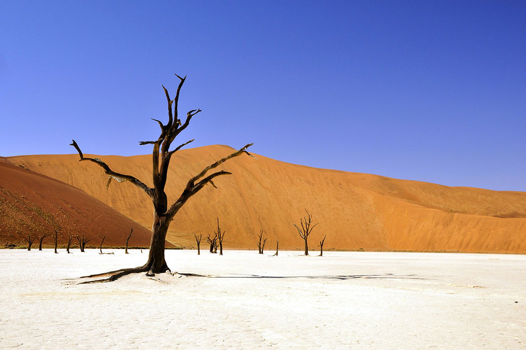 namibie-desert
