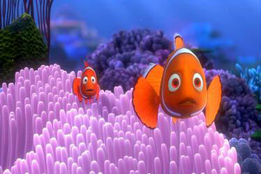 nemo-corail