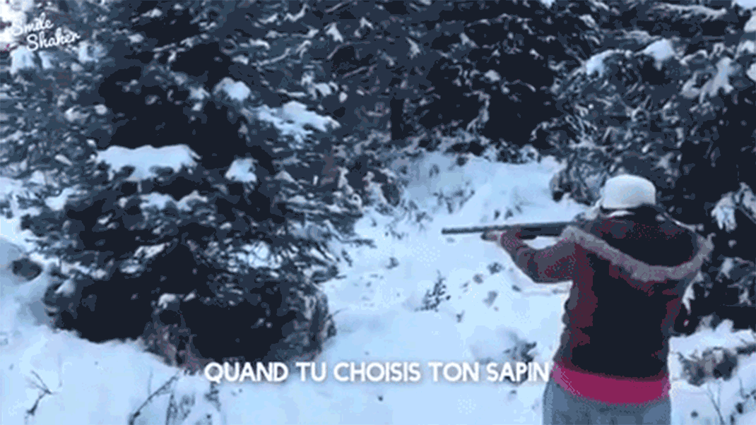 sapin-fusil