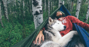 une-chien-nature