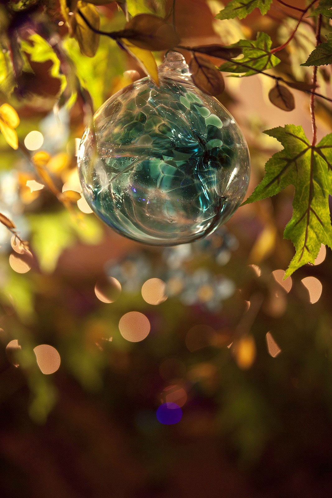 23-arbre-enchanté