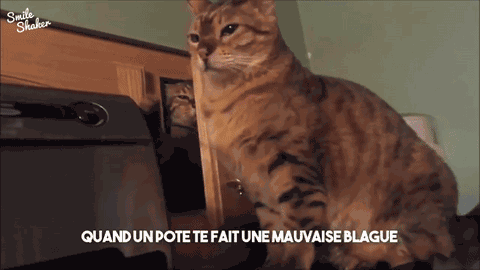 chat-tape