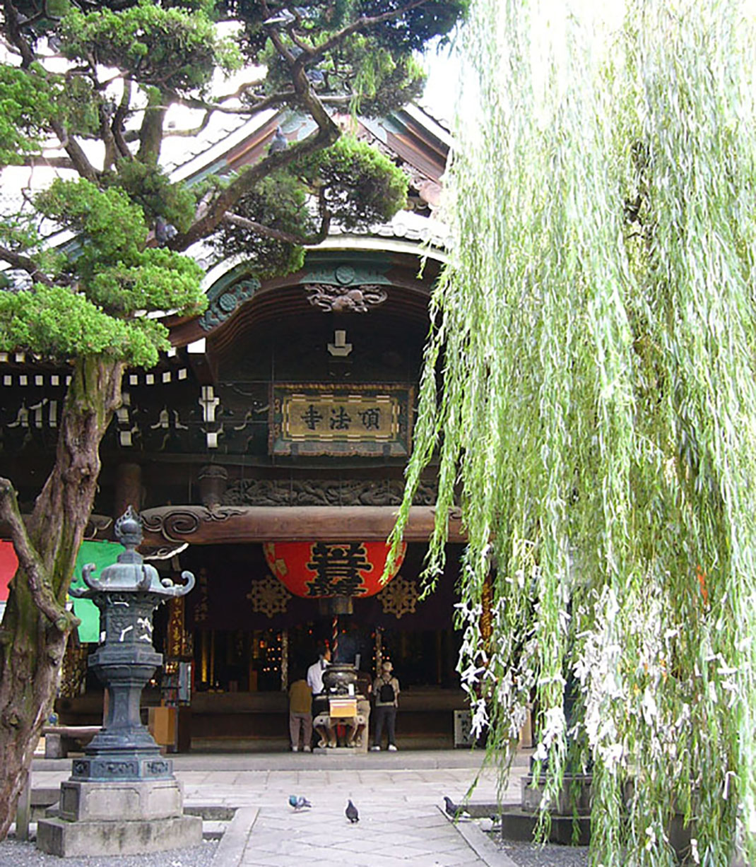 ls-ikebana-rokk
