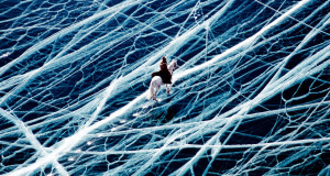 une-cheval-glace