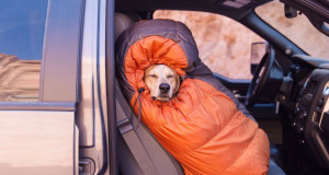 une-maddie-duvet