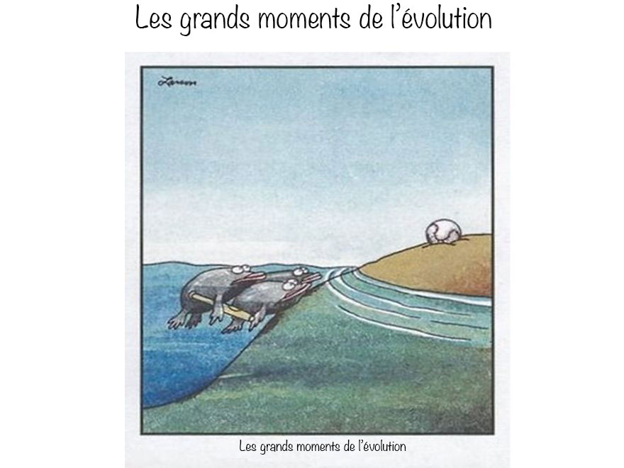 46-évolution