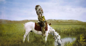 une-red-hawk